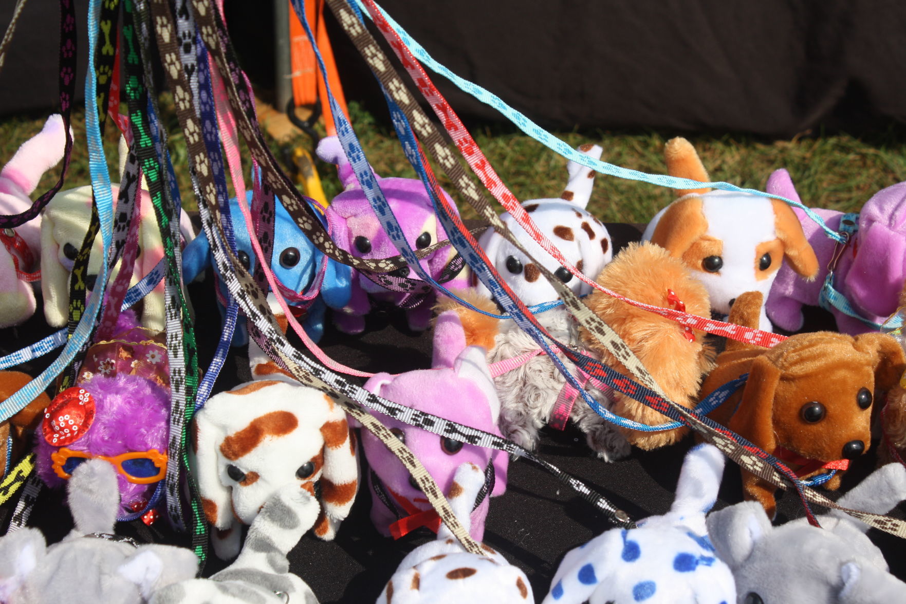 Friday at the 2018 Dodge County Fair (25).JPG